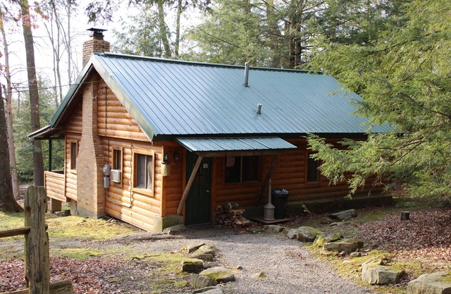 Spacious Log Cabin with Fireplace