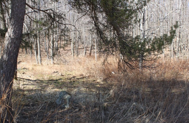 Spacious PA family home,near ski resort,fly fishing,snowmobile trail, sleeps 12+