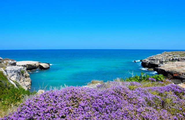 Spend a relaxing vacation in this appealing vacation home with great views of the countryside.