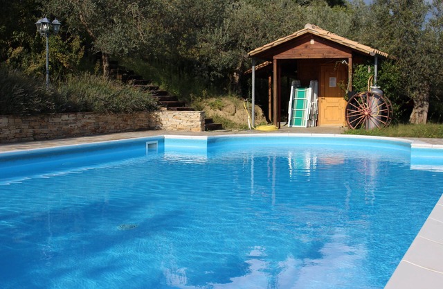 "Spoleto" appartement, in the Villa di Castello is situated in the middle of an olive garden.