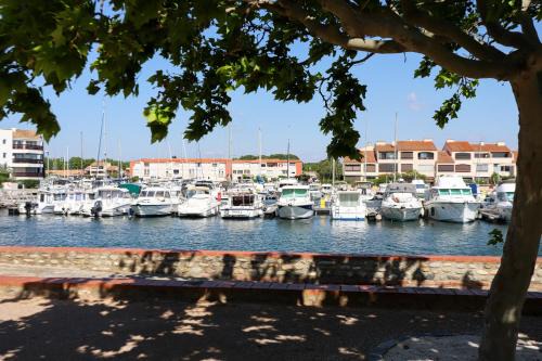 St cyprien superbe appart 4 pers vue sur la marina