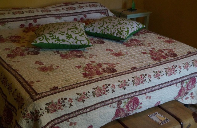 Stay with the alpacas