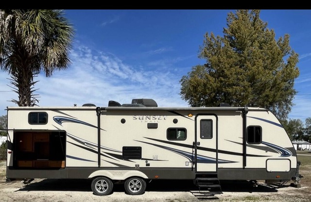 Steinhatchee Cast-aways