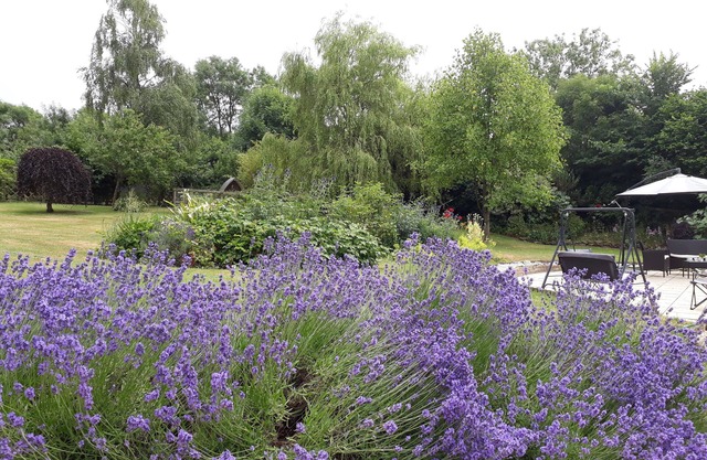 Stoneleigh Barn B&B
