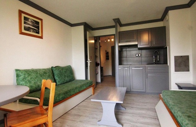 Studio Alpe d'Huez avec balcon et animaux acceptés, proche pistes - FR-1-405-87