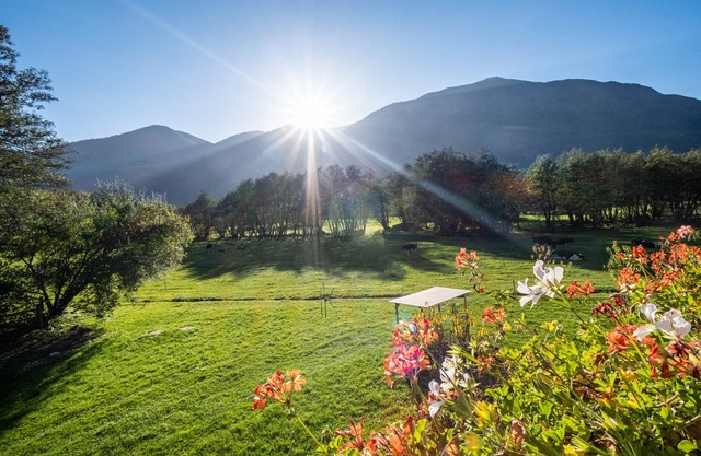 Studio Apartment 'Hausergut Topaz' with Mountain View, Shared Garden and Wi-Fi