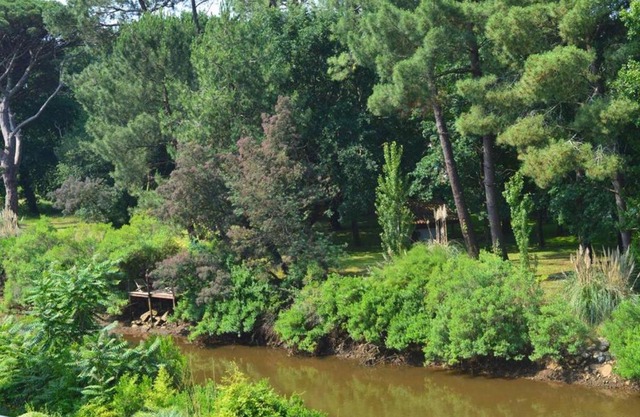 Studio Capbreton, 1 pièce, 2 personnes - FR-1-247-109