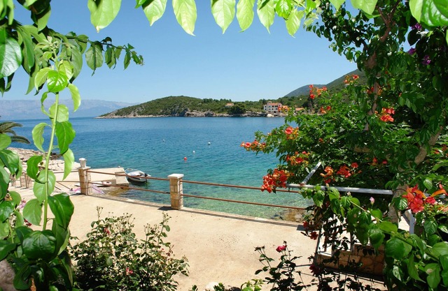 Studio flat near beach Cove Pokrivenik, Hvar (AS-2073-d)