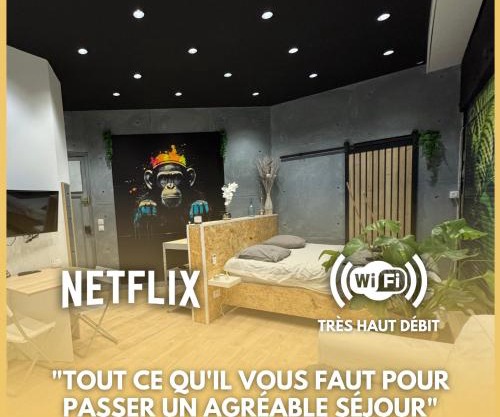 Studio Jungle with breakfast and video projector