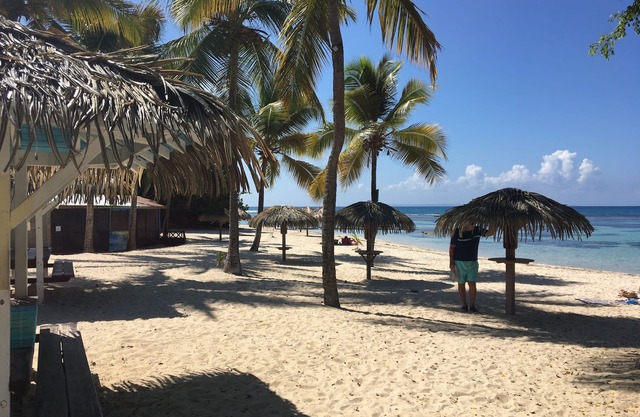 Studio/loggia on the first floor of a comfortable villa. In a magnificent park.