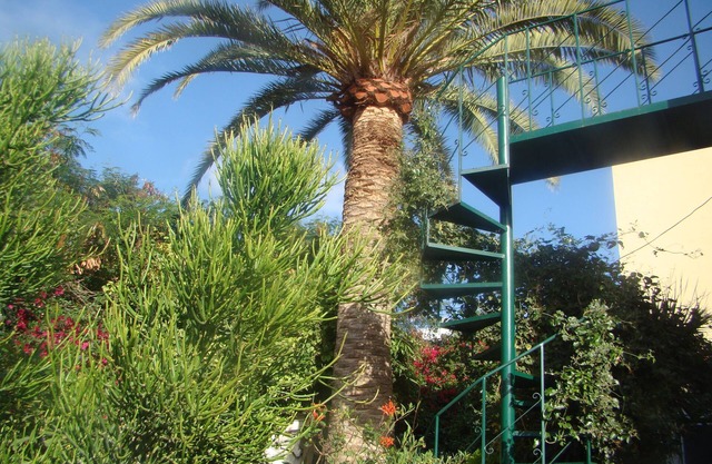 Studio Marcel, Comfortable and economical, Tenerife