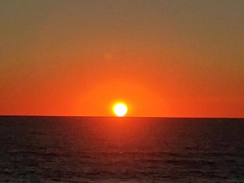 studio Seignosse Océan (plages et commerces à pied)