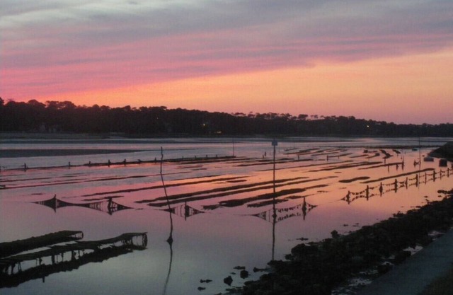 Studio situated in a villa, right on the Hossegor lake side