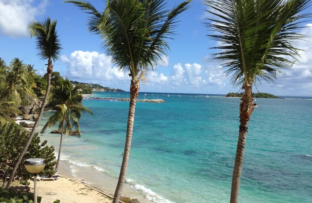 Studio/T1 facing the sea in a quiet luxury residence with private beach