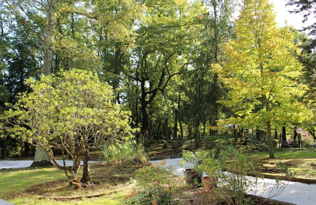 Stunning private villa for 10 people with WIFI, private pool, TV, patio and pets allowed