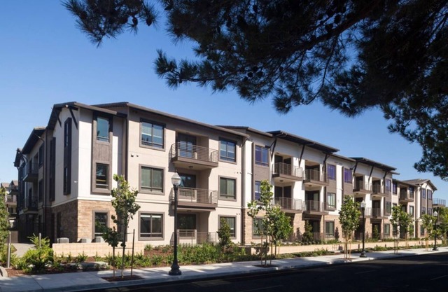 Stylish 2BR Stay w/Gym, Outdoor Pool & Fire Pit at Anton 1101