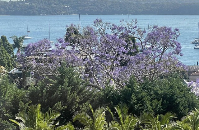 Stylish Harbourside Apartment in Elizabeth Bay