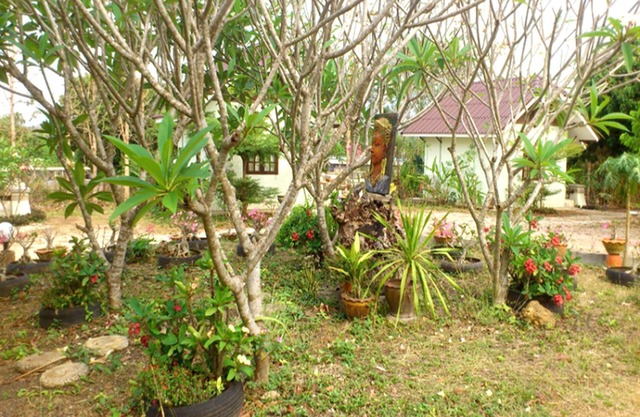 Suan Lamyai Resort