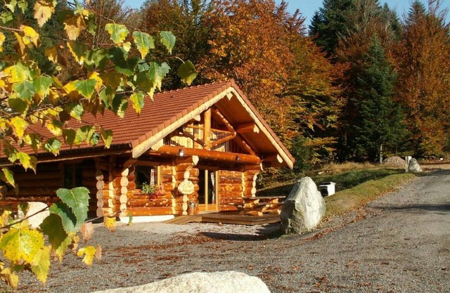 Sublime chalet rondins de 140 m² en lisière de forêt et ruisseau, La Bresse, wifi