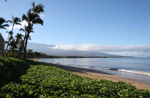 Sugar Beach Maui! Direct Ocean Front! Best View! Best Value!
