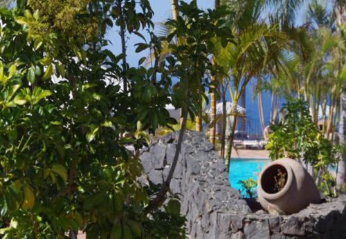 Suite 3 dormitorios Piscina