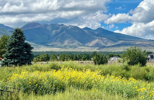 🌻Sunflower Cottage🌻Breathtaking Mountain Views & Fresh Air Retreat!