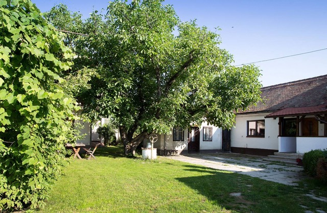 SUNNY ROOMS, SOFT BEDS