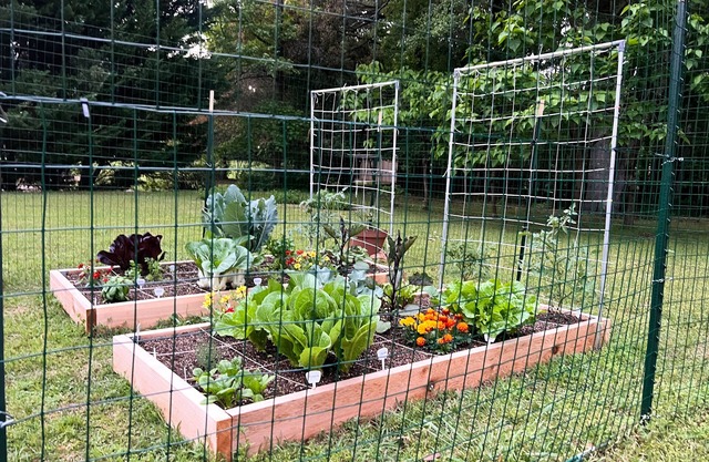 Sunny Secret Garden Getaway - a private guest suite w/fire pit - 7 mi to UGA!