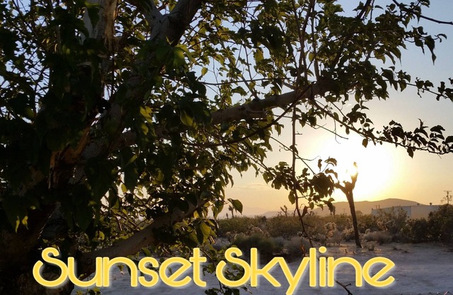 "Sunset Skyline" Enjoy tranquil majestic views at this swanky Joshua Tree escape