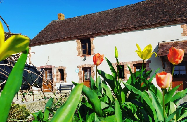 Superb longère for 6 people with swimming pool near Beauval, Loire castles
