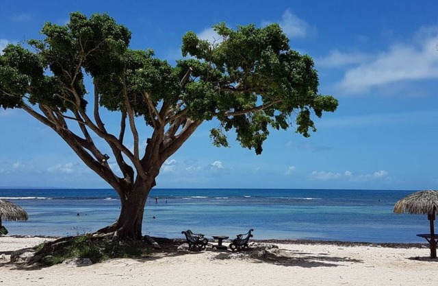 Superb Studio "Lespiedsdansleau" 34 m2 garden level, sea view 2/3 persons