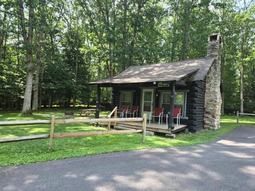 Swallow Falls Cabin 1