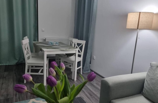 Swan Brasov Apartment