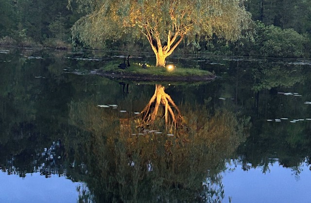 Swan Lake Resort Rentals