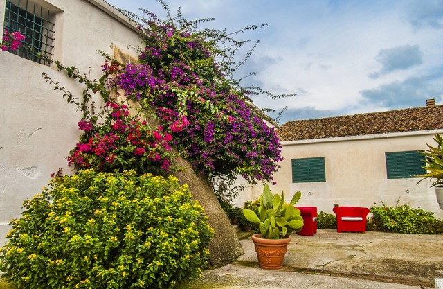 Sweet Apartment in the Sicilian countryside, near Corleone and Palermo