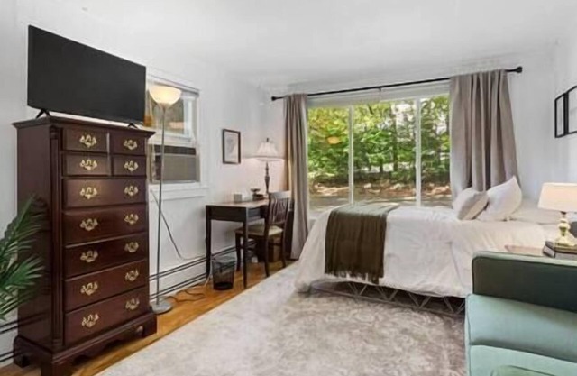 Sweet Studio Apt, Cozy, Convenient, Near UIUC