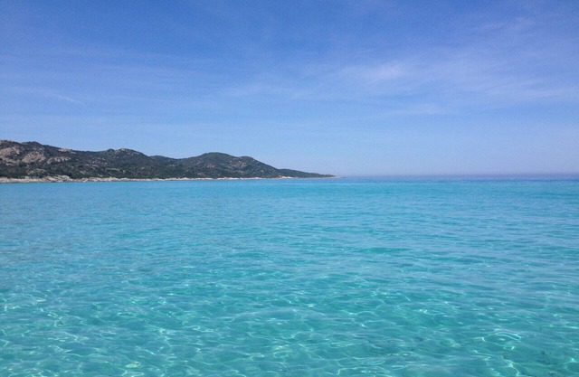 T3 Piscine avec jardin Proche St-Florent