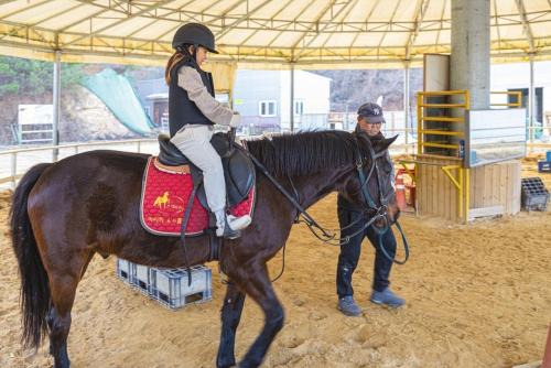Taean Anmyeondo Badabi Pension