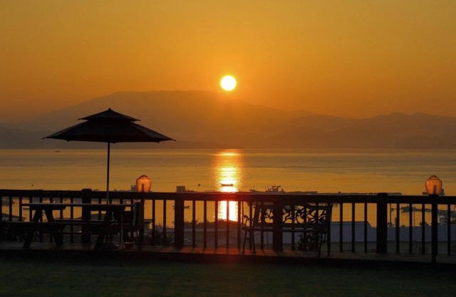 Taean Lemon Treen Pension