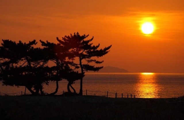 Taean Napoli Pension