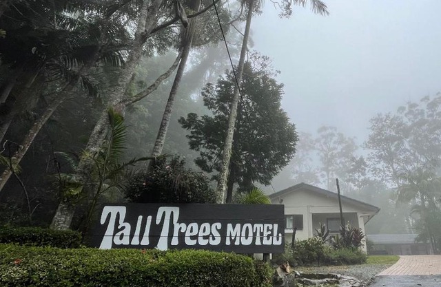 Tall Trees Motel Mountain Retreat