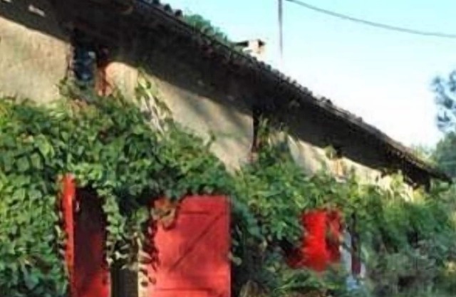 Tarn, rearranged farmhouse from 18th century. Between Albi and Toulouse, 37 km