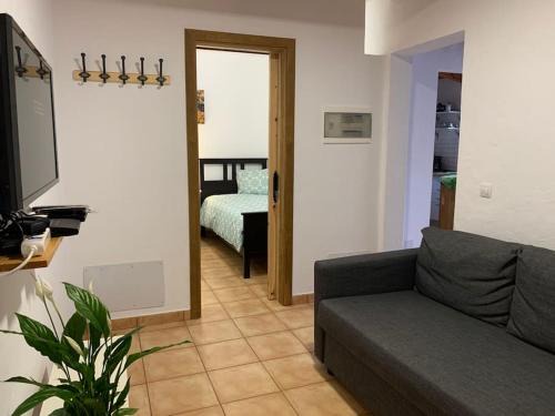 Tasarte. Casa adosada. Berajot 7b.