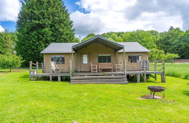 Teal at Exton park, Rutland