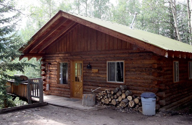 Technology Free & Dogs are Welcome