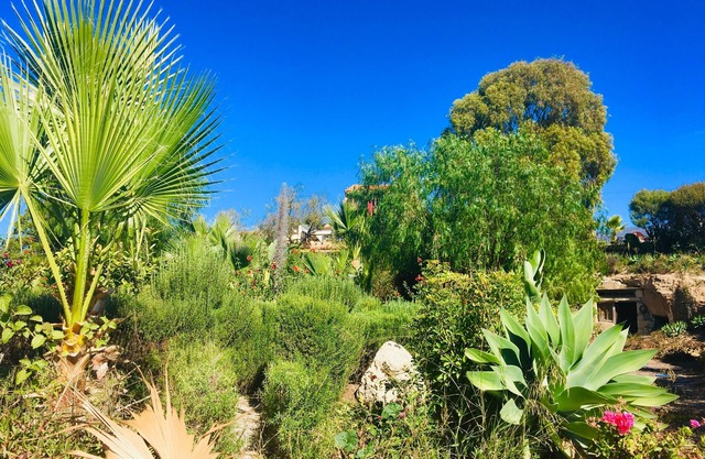 "Tenerife Nature Retreat"