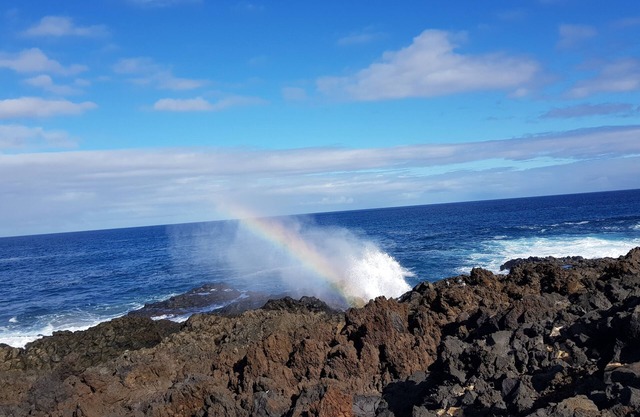 Teno Mountains&Bananas Garden House