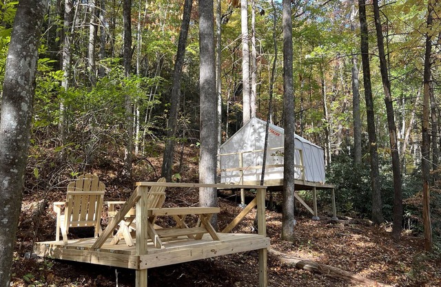 Tentrr Signature Site - Fern Forest Hideaway