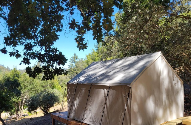 Tentrr Signature Site - Avocado Grove C