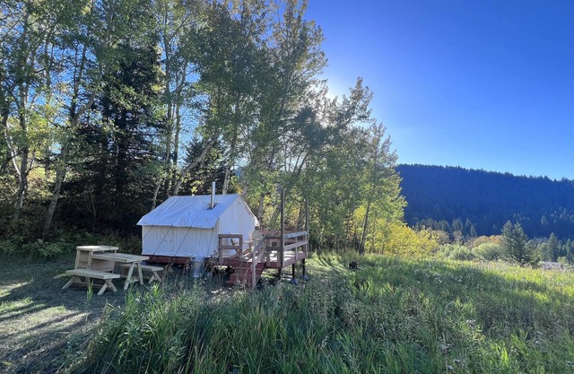 Tentrr Signature Site - Bear Canyon Bliss